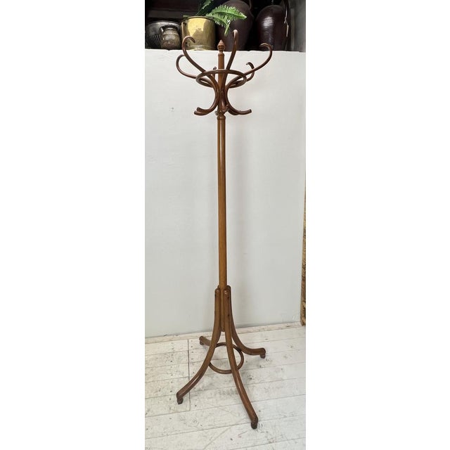 Free Standing Coat Rack in the style of Thonet, 1950s For Sale - Image 14 of 15