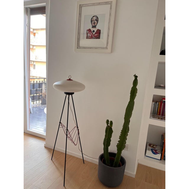 Vintage Floor Lamp with Magazine Rack, 1950s For Sale - Image 9 of 11