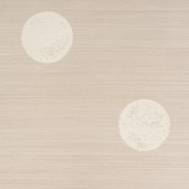 Contemporary Schumacher X Backdrop Monte Carlo Sisal 2 Panel Set In Silver For Sale - Image 3 of 4