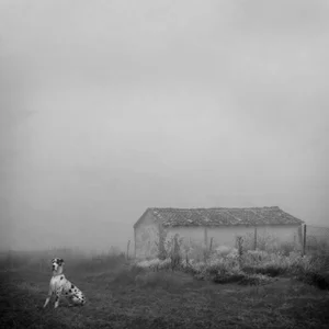 Rosa Basurto, Blanco 6, 21st Century, Digital Photographic Print