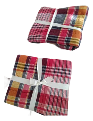 2 Pottery Barn Standard Shams