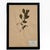 1960s 1965 French Herbarium Botanical Specimens – Set of 8 Custom Framed Pressed Botanicals For Sale - Image 5 of 18