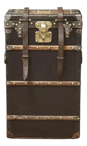 Marmotte Black Trunk from Louis Vuitton