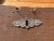 Antique Wood Travel Trunk - Primitive Wooden Storage Chest For Sale In Philadelphia - Image 6 of 12