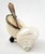Caviar Dish by Scully & Scully Sterling Silver 925 Hallmarked & Spoon Seashell Shell For Sale - Image 13 of 17