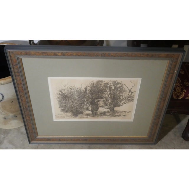 1960s Vintage Aubrey Schwartz - "Trees" Framed Limited Edition Etching (#188/210) (1965) (American) For Sale - Image 5 of 7