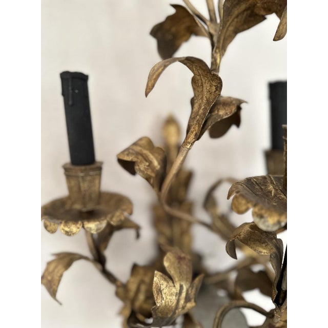 Big Floral Florentine Gilded Wall Lamp, 1890s For Sale - Image 17 of 18