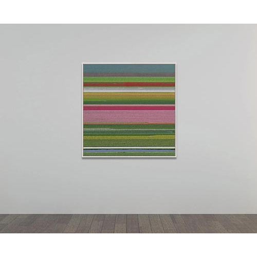 Bernhard Lang, av_tulip_fields_014, Limited Edition Fine Art Photograph Print For Sale - Image 9 of 11