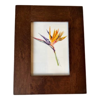 Signed Original Watercolor Botanical “Bird of Paradise” For Sale