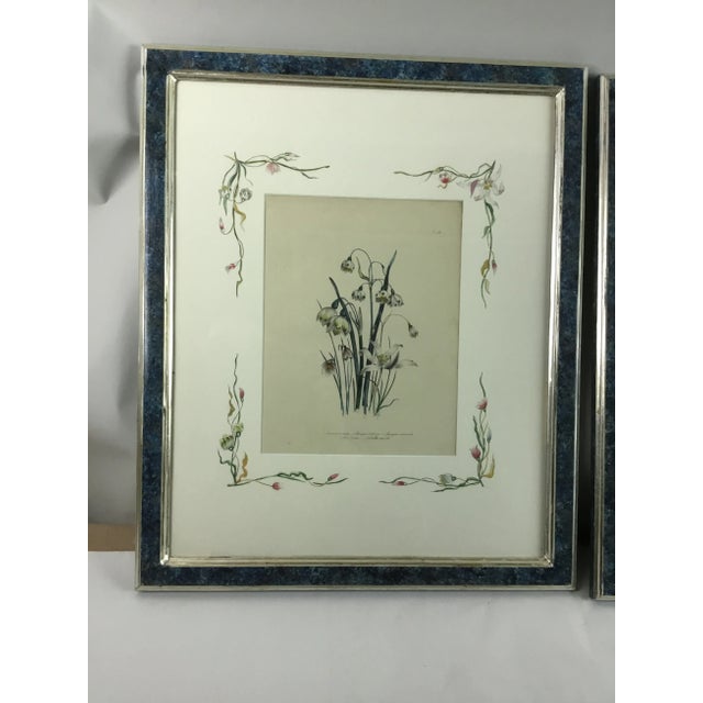 Branca, Inc., framed and matted hand colored English botanicals by Jane Wells Loudon, circa 1840. The matts are hand...