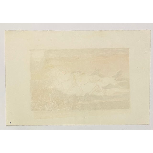 1975 Sue Cohen Horse Serigraph For Sale - Image 4 of 4