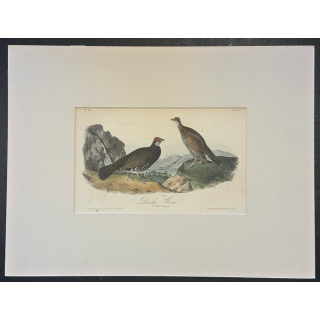 1840 colored lithograph of the Dusky Grouse by John James Audubon 1st edition octavo from Birds of America, published in...