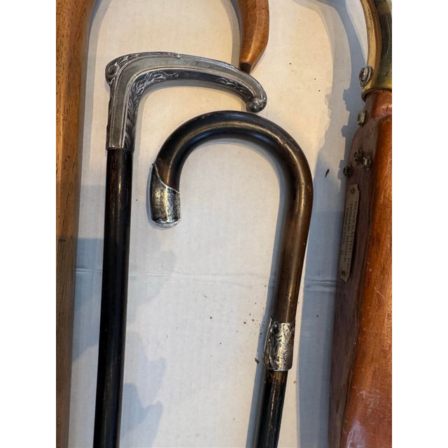 Early 20th Century A Collection of Twelve Antique Walking Sticks/Canes With Three Crops For Sale - Image 5 of 10