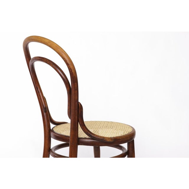 Beige Antique No. 14 Chair Viennese Coffee House Bentwood Chair with Cane Seat by Michael Thonet for Thonet, 1920s For Sale - Image 8 of 10