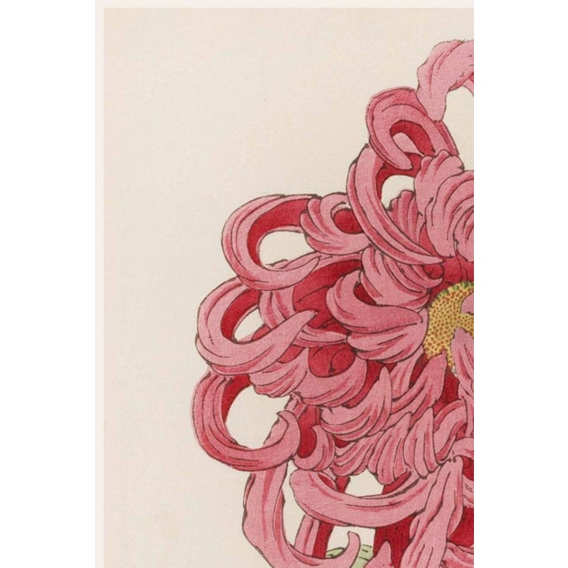 A refined example of late 19th-century Japanese botanical illustration, this vintage Japanese botanical art print...