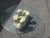 Vintage Rare Polar Bear + Glass Top Coffee Table, 1970s For Sale - Image 4 of 12