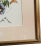 Antique Italian Botanical Lithograph For Sale - Image 9 of 10
