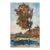 Original River Landscape Oil Painting, Ukrainian Artist, 1960s 25-17 For Sale