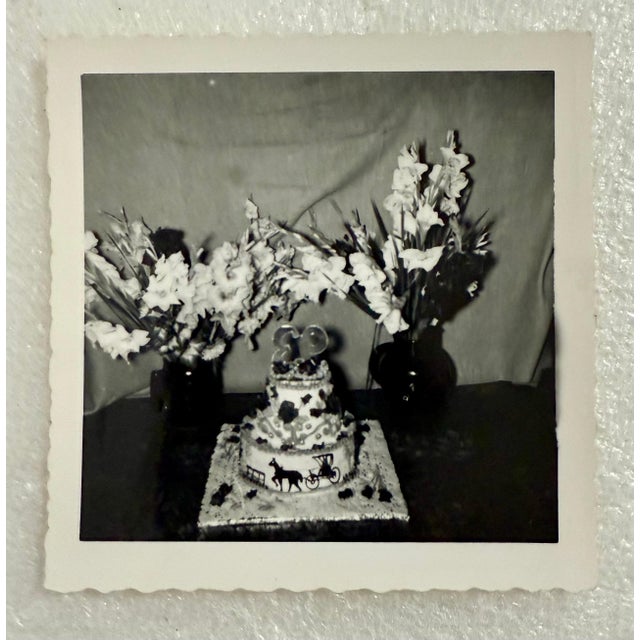 Vintage Photo Archive Grandma Moses Folk Art Artist Photograph Collection, 1940's-1960's For Sale - Image 14 of 16