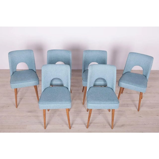 Mid-Century Modern Polish Shell Chairs from Bydgoszcz Furniture Factory, 1960s, Set of 6 For Sale - Image 3 of 17