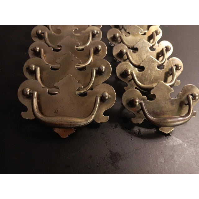 1980s 1980s Art Nouveau Style Brass Drawer Pulls - Set of 12 For Sale - Image 5 of 5