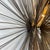 Curtis Jere 1970s Mid-Century Modern Curtis Jeré Brass Urchin Wall Sculpture For Sale - Image 4 of 7
