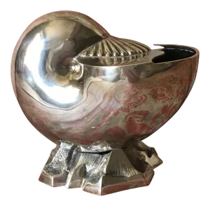 Late 19th Century Victorian Silver Nautilus Spoon Warmer