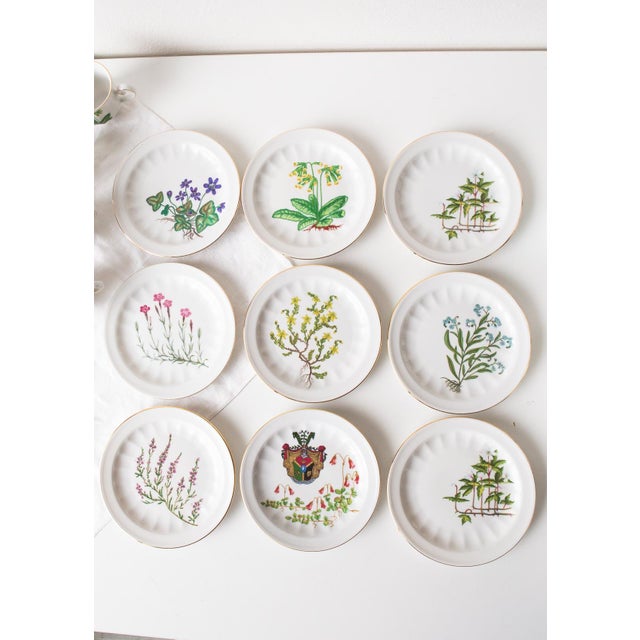 Coffee and Dessert from Tettau, 1976, Set of 28 For Sale - Image 3 of 18