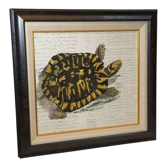 French Hand Painted Tortoise on Household Ledger Paper Dated 1837 For Sale