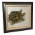 French Hand Painted Tortoise on Household Ledger Paper Dated 1837 For Sale