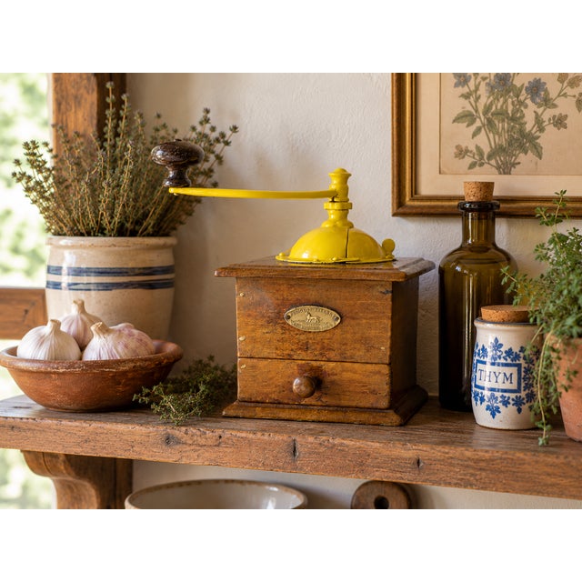 A charming antique French manual coffee grinder by Peugeot Frères, combining a compact wooden body with a striking bright...