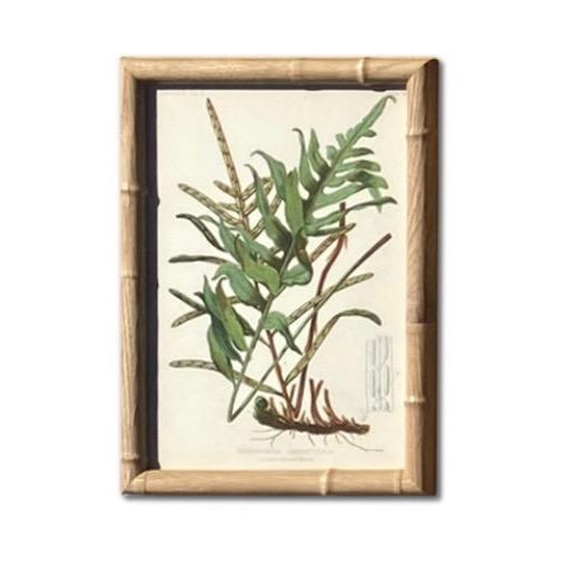Wood Antique Botanical Chromolithographs — “Wild Flowers of America”, Volume I, L. Prang & Co., Boston (C. 1877) Set of 13 For Sale - Image 7 of 17