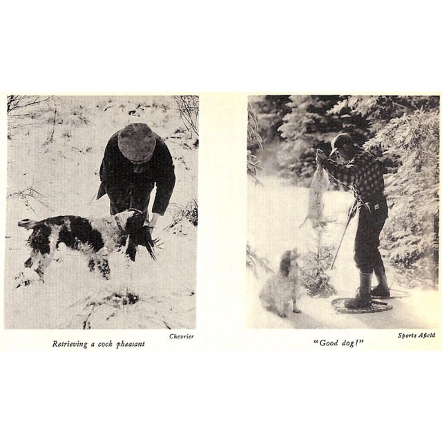 "The English Springer Spaniel in America" 1932 Ferguson, Henry Lee For Sale In New York - Image 6 of 12