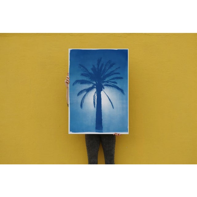 Blue 2020 Cairo Citadel Palm, Hand-Painted Cyanotype Print on Watercolor Paper For Sale - Image 8 of 12