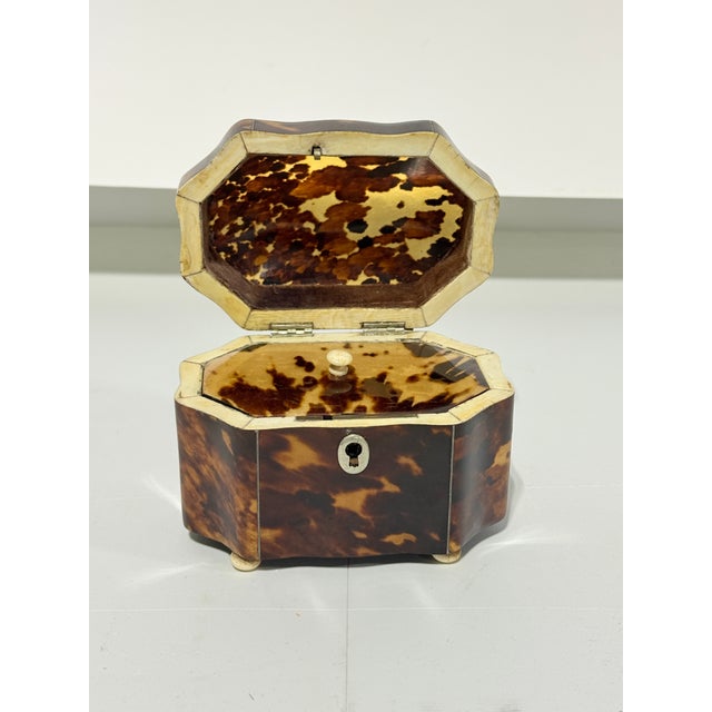 A rare early 19th-century Dutch tortoiseshell tea caddy, circa 1820, of refined casket form with a softly domed hinged...