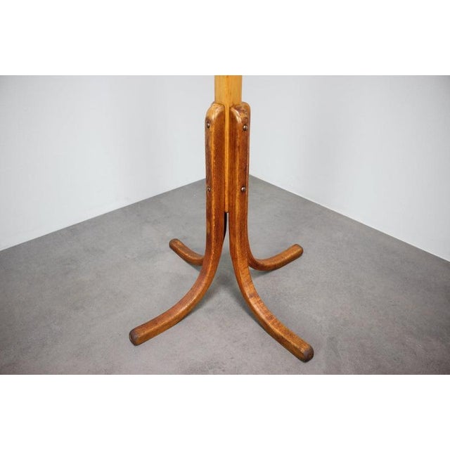 1930s Vintage Bentwood Coat Rack, Czechoslovakia, 1930s For Sale - Image 5 of 10