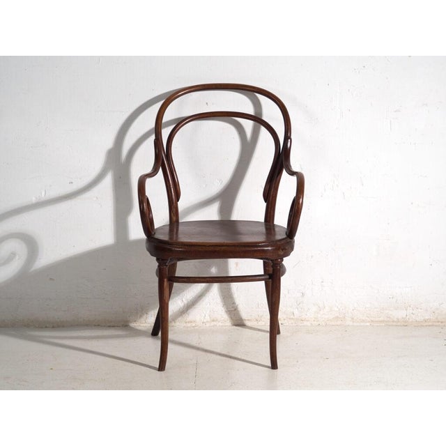 Wood Armchair in Bentwood from Thonet, Austria, 1900 For Sale - Image 7 of 10