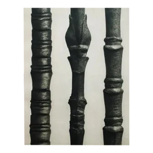 1935 Karl Blossfeldt Two-Sided Photogravure N13-14