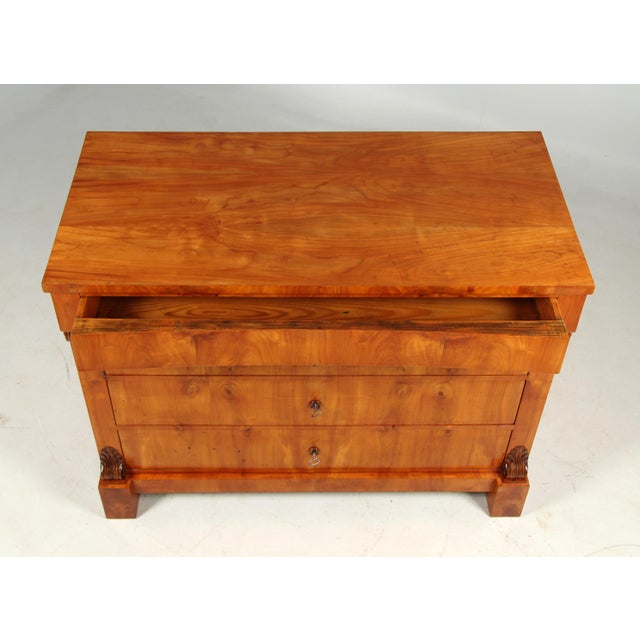 Large Biedermeier Chest of Drawers, 1845 For Sale - Image 3 of 16
