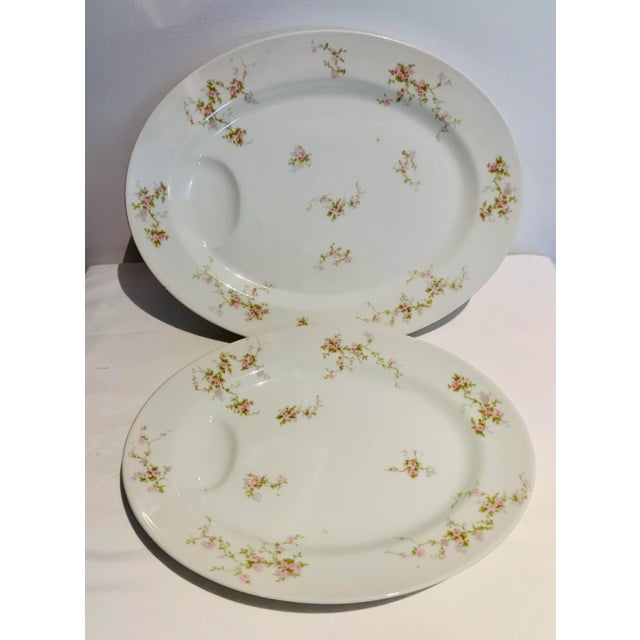 Theodore Haviland Antique 1903 Haviland Limoges Meat Platters - a Pair For Sale - Image 4 of 7