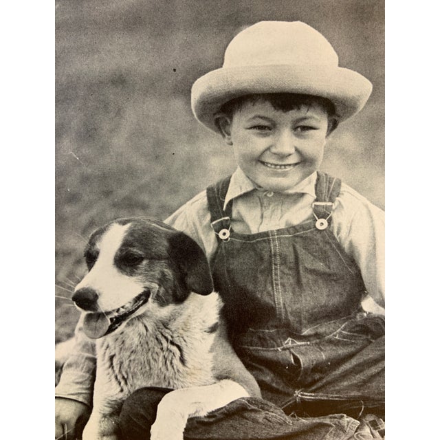 Wonderful book illustration from much-loved children's book on dogs. Shepard dog with boy. Ready for framing! Great for a...