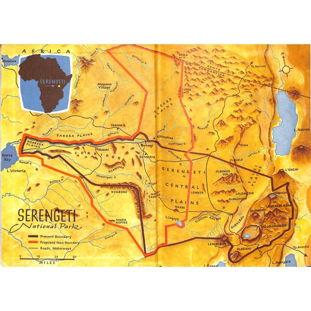 "Serengeti Shall Not Die" 1960 Grzimek, Bernhard and Michael For Sale In New York - Image 6 of 9