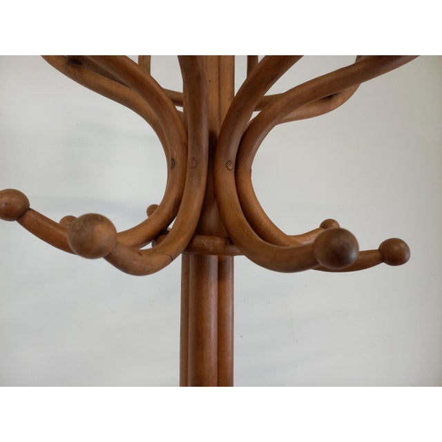 Parrot Coat Rack from Gebrüder Thonet For Sale - Image 14 of 18