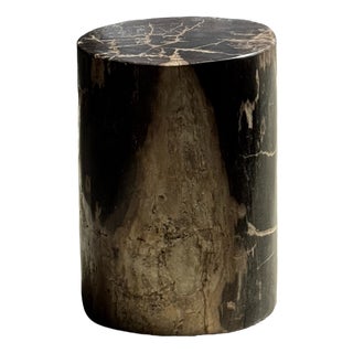 Side Table in Black Petrified Wood with Beige Fine Mesh Pattern For Sale