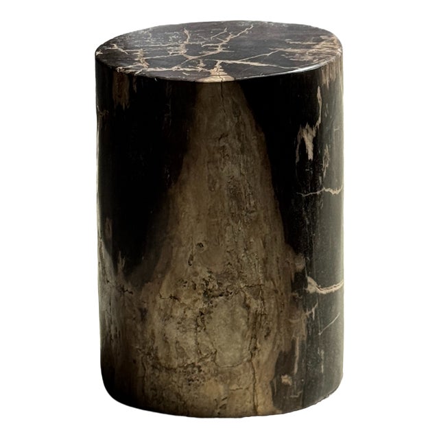 Side Table in Black Petrified Wood with Beige Fine Mesh Pattern For Sale