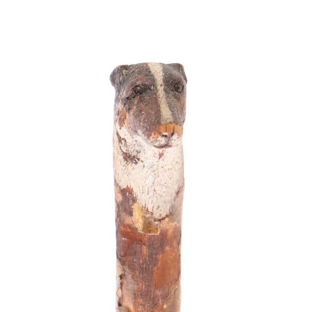 Folk Art Mid 19th Century Dogs Head Walking Cane For Sale - Image 3 of 4