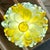 1990s Light Fixture Pendant of Recycled Handblown Glass For Sale - Image 10 of 11