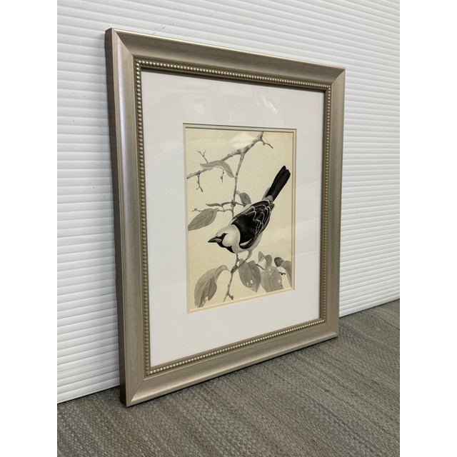 Design Plus Gallery presents Framed Loggerhead Shrike Bird Study Drawing by Larry Haines. Larry is a pioneer in the Texas...