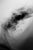 No. 6908 is a limited-edition photographic work by Chris Delmar. The image originates in a constructed optical event...