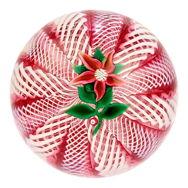 Paul Ysart Poinsettia on a Pink & White Latticino Ground Glass Paperweight For Sale